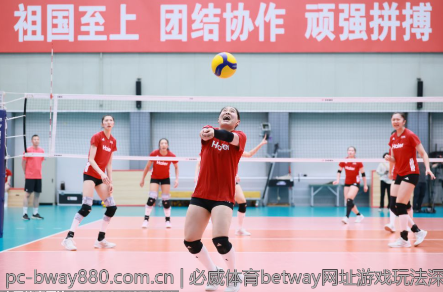 必威体育betway网址游戏玩法深度探讨