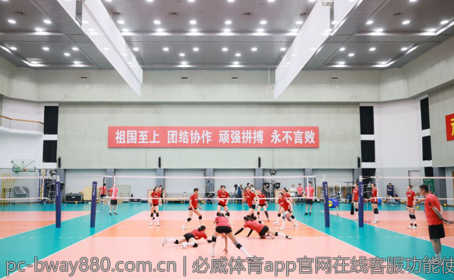必威体育app官网在线客服功能使用指南